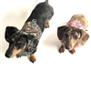 Reversible Petite Fleurs Dachshund Harness