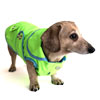 Neon Lime Sorbet Dachshund Raincoat