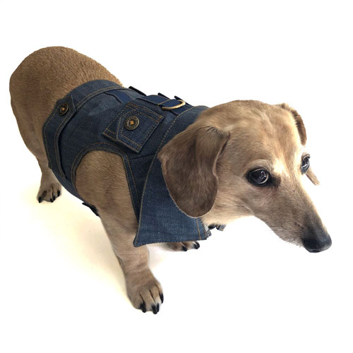 Blue Jean Dachshund Jean Jacket