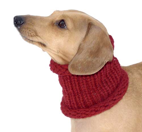 Burgundy Noodle Boodle Dachshund Neck Warmer