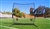 bownet qb5 portable quarterback training net - bowqb5