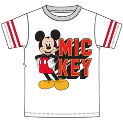 Youth Boys Stripe Sleeve Mickey Goofy Pluto Donald Team Tee, Gray Black