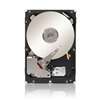 SEAGATE ST1000NM0023 CONSTELLATION ES.3 1TB 7200 RPM SAS-6GBITS 128 MB BUFFER 3.5 INCH INTERNAL HARD DISK DRIVE. REFURBISHED. IN STOCK.