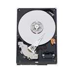 SEAGATE ST31000425SS CONSTELLATION 1TB 7200RPM SAS 6GBPS 16MB BUFFER 3.5INCH INTERNAL SED HARD DISK DRIVE. REFURBISHED. IN STOCK.