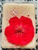 Orange Blossom & Thyme Wax Tart