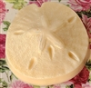 Paradise Sand Dollar Shaped Tart
