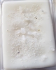 Salted Coconut Wax Tart