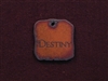 Rusted Iron Destiny Inspiration Pendant