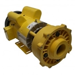 Coast Spa Yellow Pump Assembly, 5HP, 230 Volt, 14.0 Amp, 2 Speed