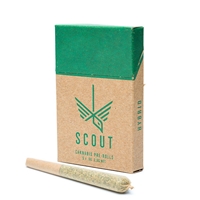 Scout 5 x 0.5g Pre-Filled Cones â€“ Hybrid , by  Diversified Medical Services
