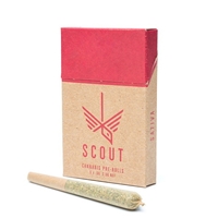Scout 5 x 0.5g Pre-Filled Cones â€“ Sativa , by  Diversified Medical Services