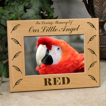 Bird Sympathy Frame