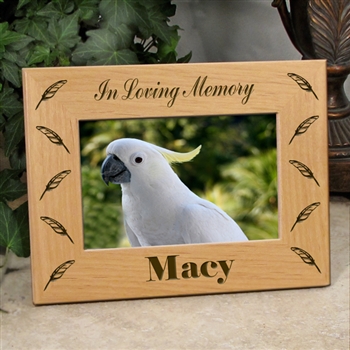 In Loving Memory Bird Loss Frame