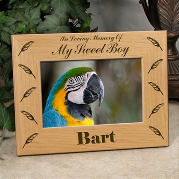 Remembrance Frame For Birds