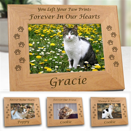 Unique Cat Memorial Frame