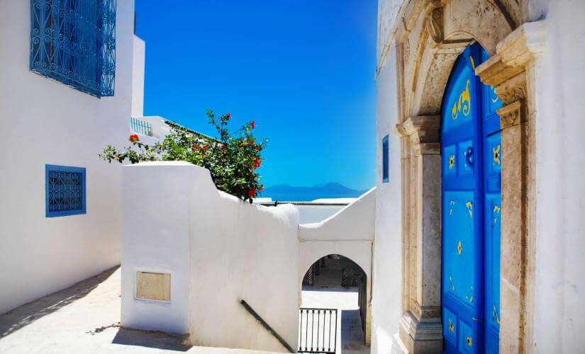 Discover Tunis Medina, Carthage Ruins, and Sidi Bou Said Highlights