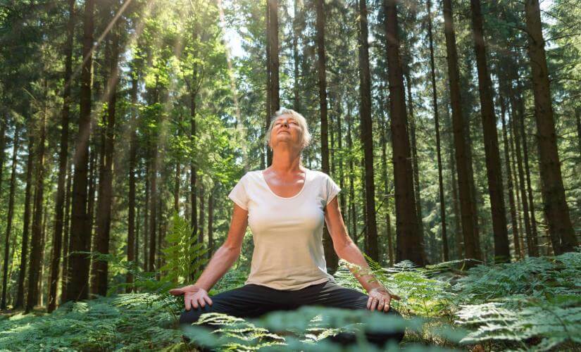 Small Group Alaska Japanese Forest Walk Therapy Experience in Haines