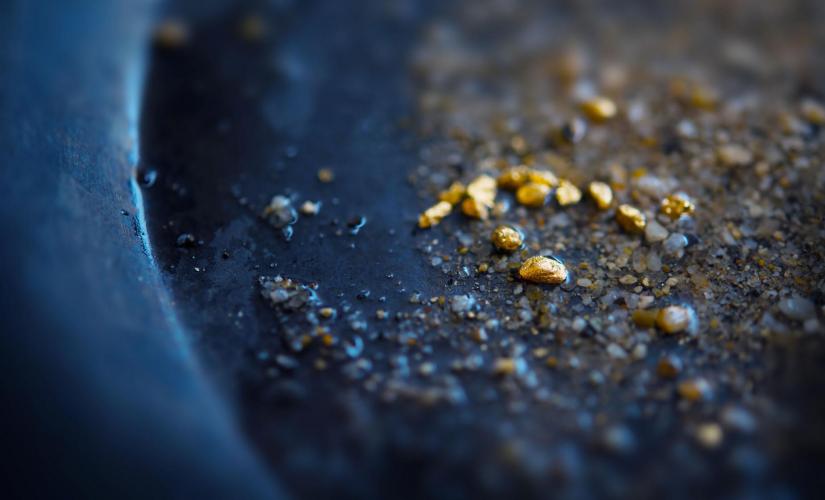 Gold Panning and Gold Creek Salmon Bake with Private Round Trip Transfers (Don Alaska Group 2026)