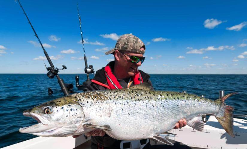 Alaskan Halibut and Salmon Fishing Expedition