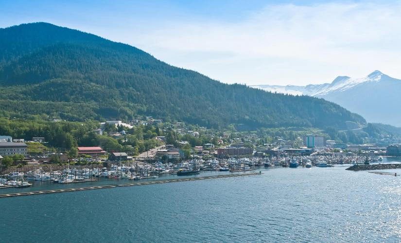 Coastline Cruise