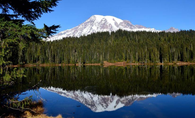 Private Mount Rainier National Park Tour