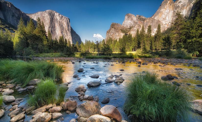 Full Day at Yosemite National Park near San Fransisco (Yosemite Falls, Cathedral Rock)