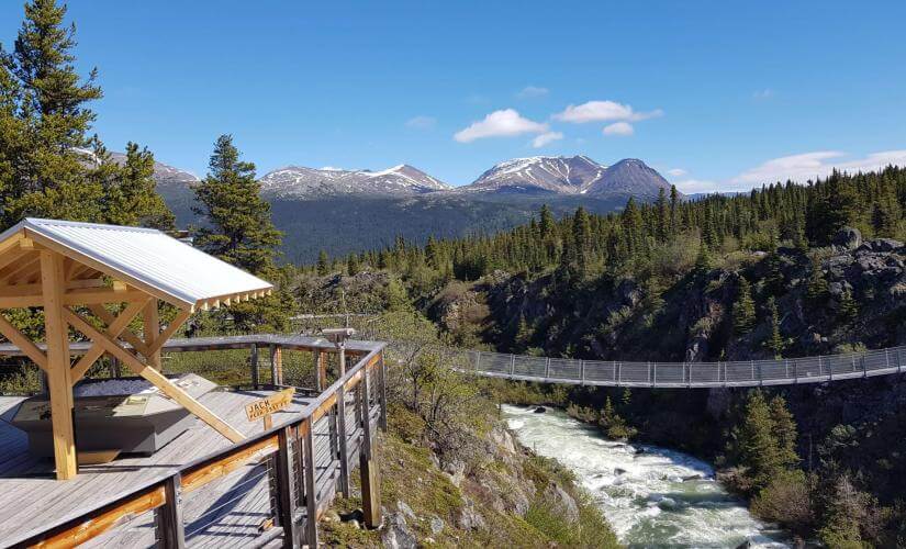 Suspension Bridge, Yukon Sled Dogs, and Summit Views