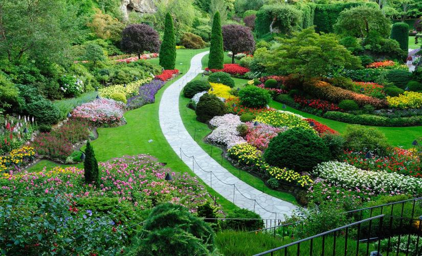 Self- Guided Butchart Gardens Tour (Exclusively for Distinctive Voyages)