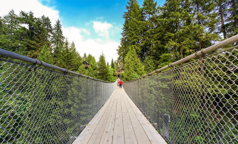 North Shore Capilano & Grouse Mountain Tour in Vancouver