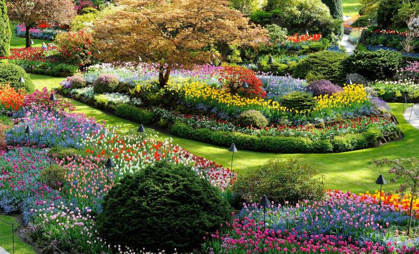 Victoria and Butchart Gardens Tour from Vancouver