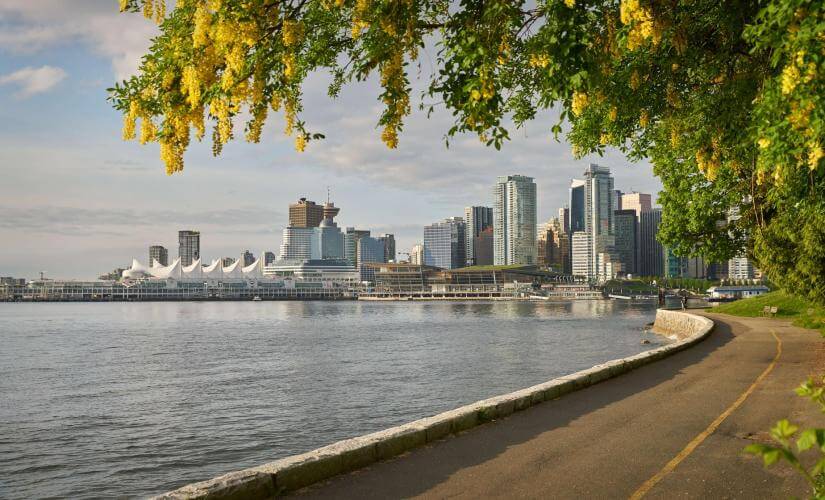 Downtown Vancouver's Biking Stanley Park