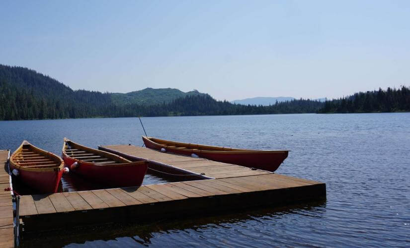 Rainforest Canoe and Nature Trail from Ward Cove