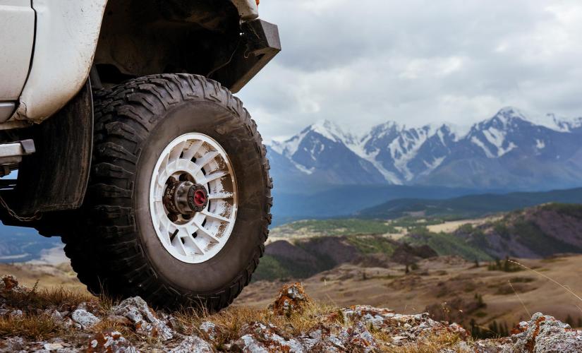 Backcountry Jeep and Canoe Safari from Ward Cove