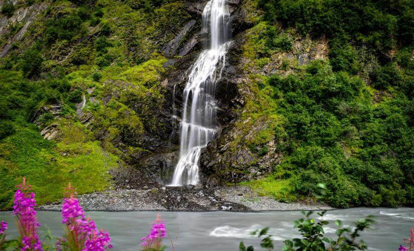 Private 3 Hour Rainforest Hike Nature Experience from Ward Cove