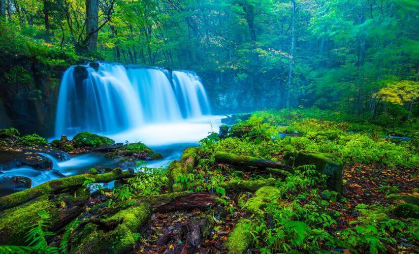 Private Natural Splendors of Aomori