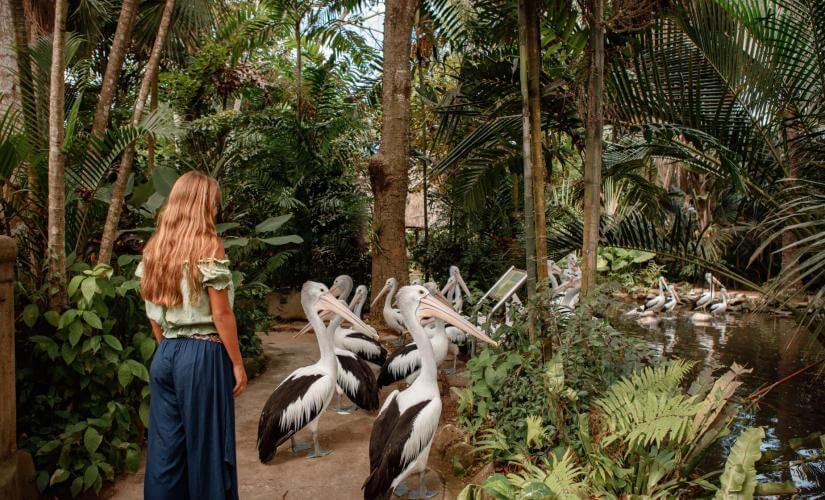 Private Bird Park Adventure, Art Village, and Balinese Spice Garden