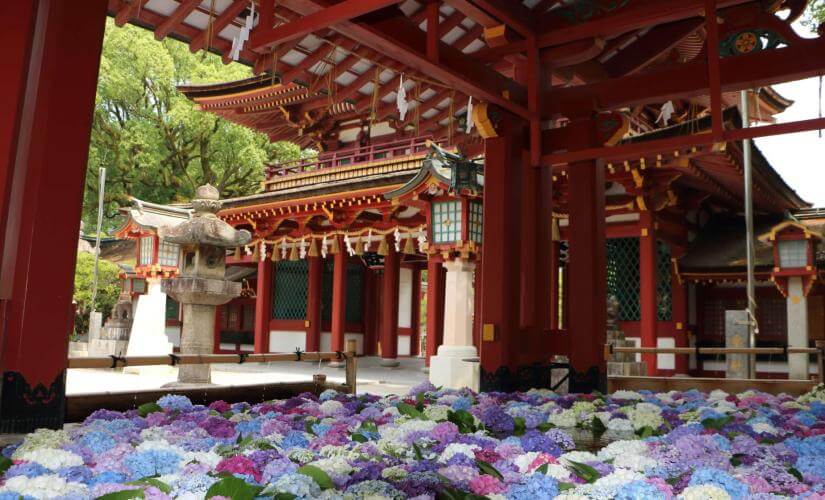 Best of Fukuoka, Kagoshima, Nagasaki, and Yatsushiro Four Port Package