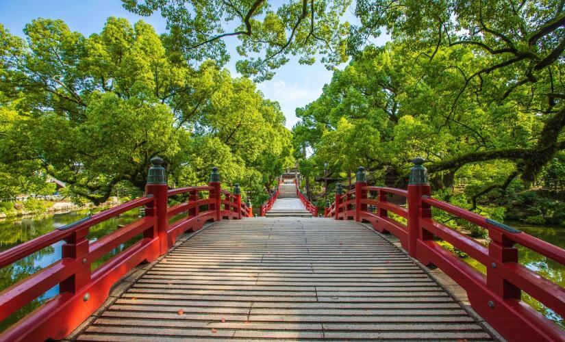Private Best of Fukuoka Sightseeing and Historical Heritage
