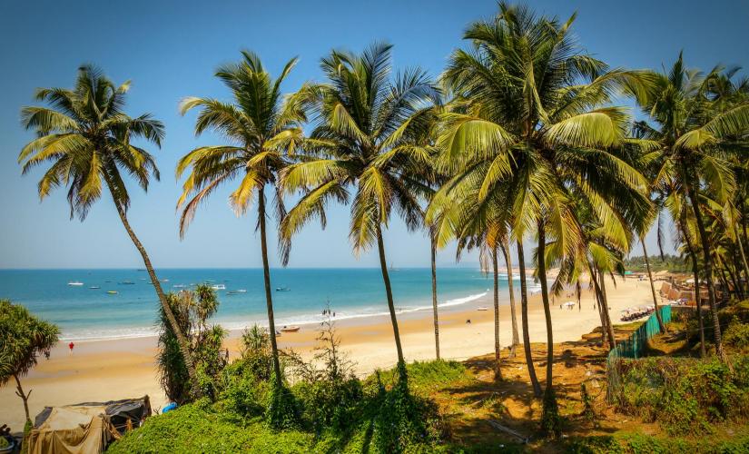 Beach Day in Cansaulim