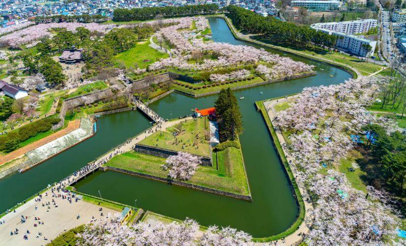 Exclusive Hakodate Morning Market and Scenic Highlights of Hokkaido