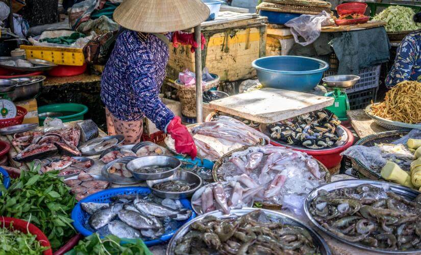 Small Group Quang Yen Village, Bach Dang Heritage, and Local Market with Lunch