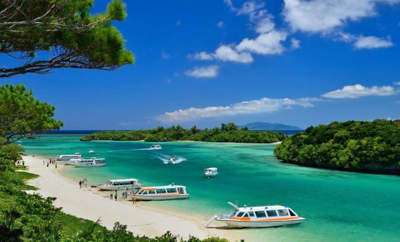 Exclusive Best of Ishigaki Scenic Wonders and Culture