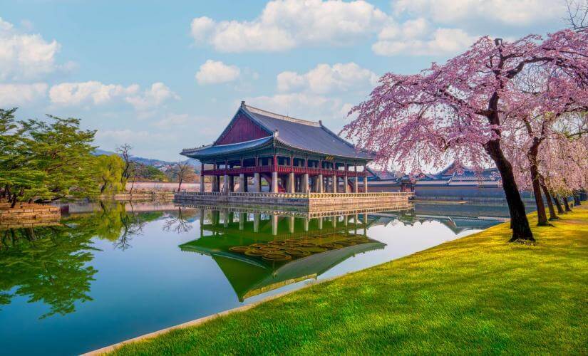 Private Incheon to Seoul Palace Visit and BBQ Lunch