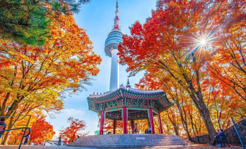 Best of Incheon, Kochi, Kagoshima, and Yatsushiro Four Port Package