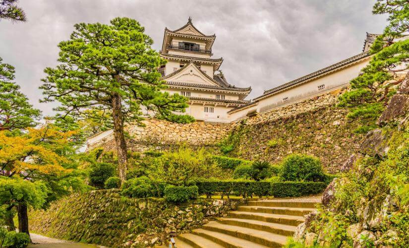 Best of Kochi and Osaka Two Port Package