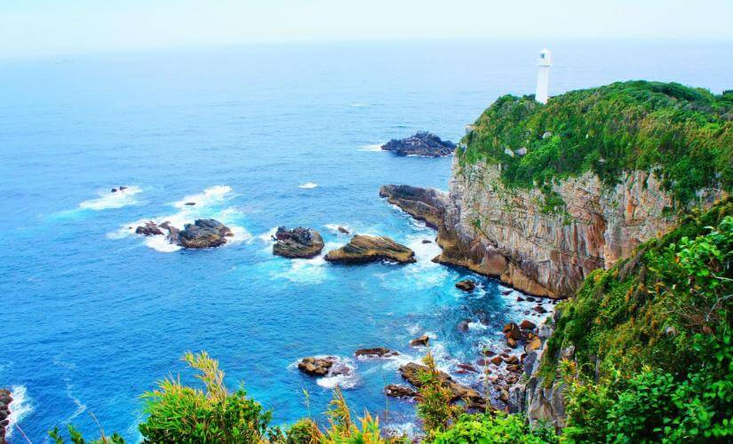 Private Natural and Historical Highlights of Kochi