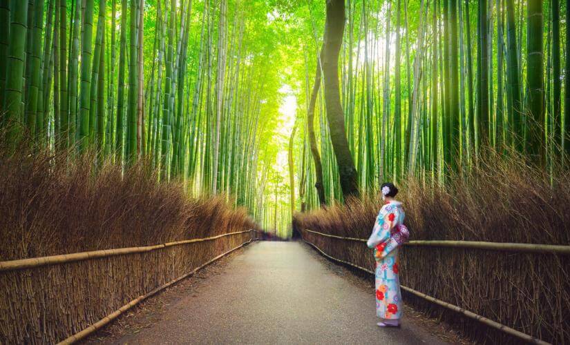 Private Arashiyama Highlights and Bamboo Forest from Osaka