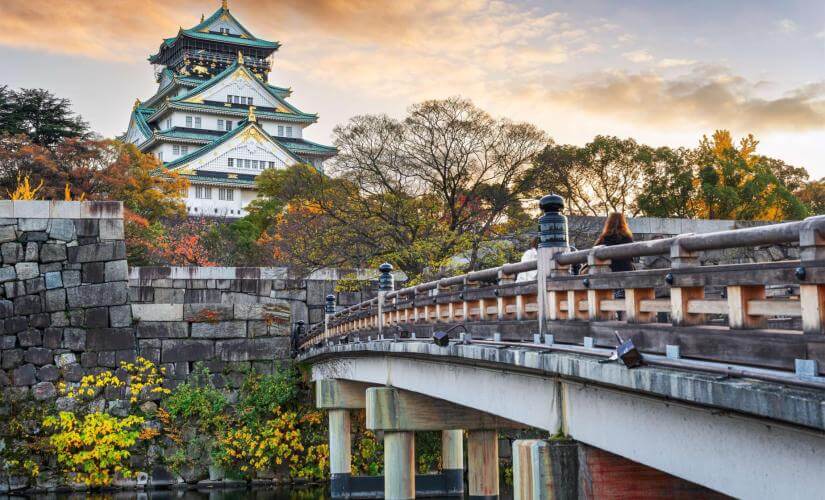 Exclusive Metropolitan Osaka Sightseeing, Cultural Highlights, and Historical Landmarks