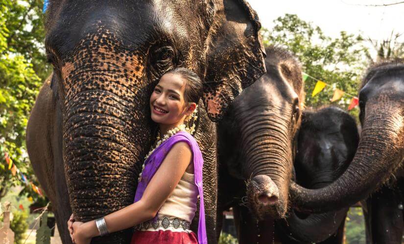 Elephant Feeding and Bathing in Phuket