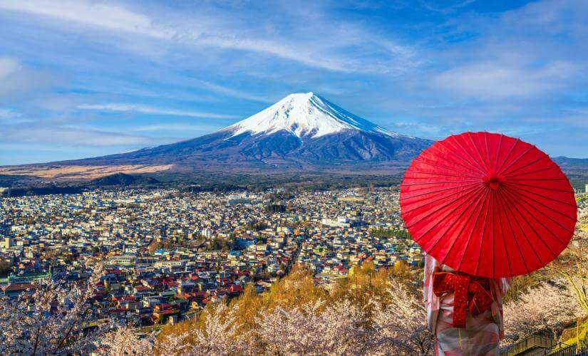Exclusive Shimizu Sightseeing and Views of Mount Fuji